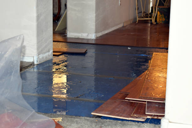 Professional Burst Pipe Cleanup technician working in Rock River, WY